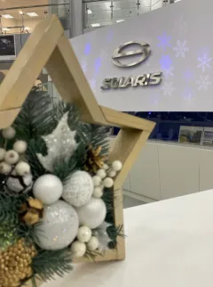 Solaris Тамбов-Авто — фото 2
