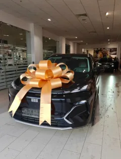 Geely Авилон Волгоградский — фото 2