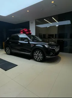 Hongqi Авилон Волгоградский — фото 2