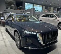 Hongqi Автолига — фото 1