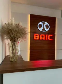 Оками Восток, Baic — фото 1