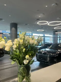 Hongqi Авилон Легенда — фото 3