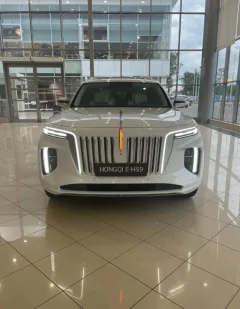 Hongqi Мэйджор Новорижский — фото 2