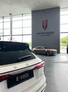 Hongqi, Панавто Сити — фото 4