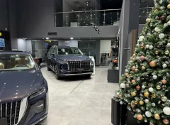 Hongqi Автолига — фото 4