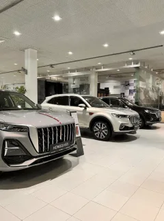Hongqi Мэйджор Олимп — фото 3
